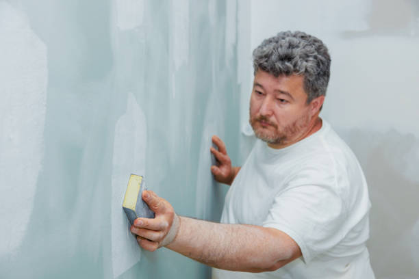 Best Ceiling Drywall Installation  in Chester Center, CT